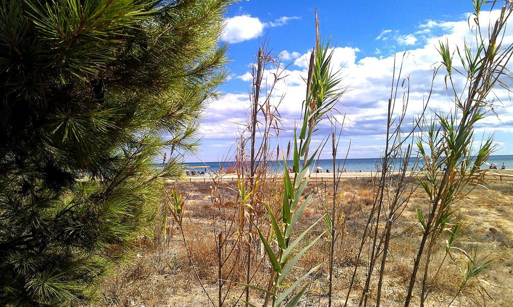 דירות Alcossebre Apcostas - Habitat Playa Romana מראה חיצוני תמונה